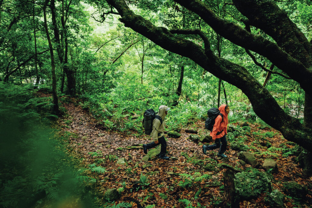 Homem e mulher usando as melhores jaquetas impermeáveis caminhando em trilha de floresta densa, com mochilas cargueiras, em clima chuvoso.